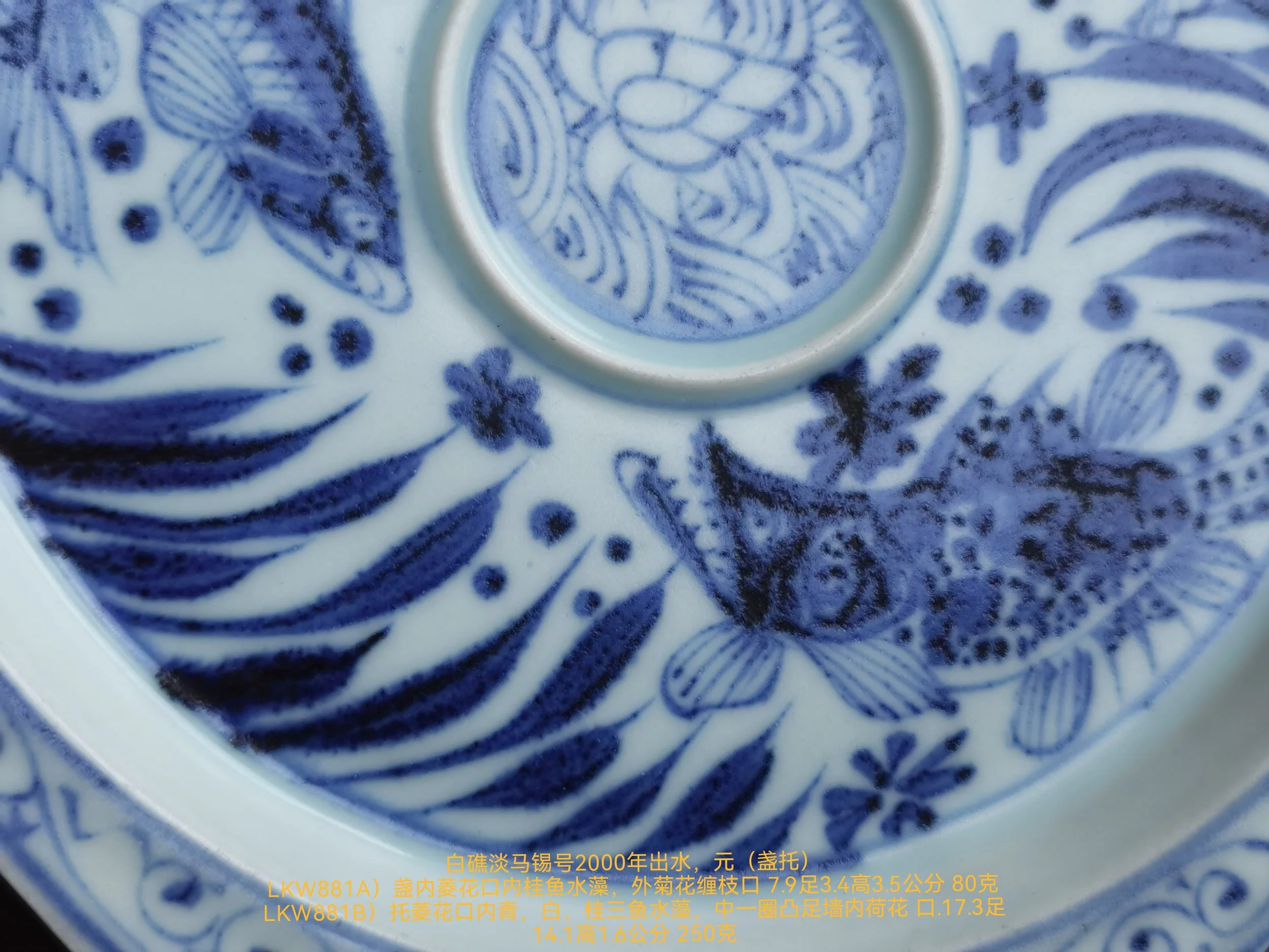 元青花Yuan Blue & White — 林朝华盆景古董海上丝绸之路Lim Keow Wah